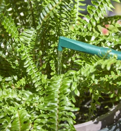 Lee Valley Indoor Gardening><noscript><img width=