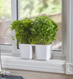 Lee Valley Indoor Gardening>Herb Planter With Shears
