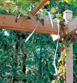 Lee Valley Pest Control>Holographic Scare Tape