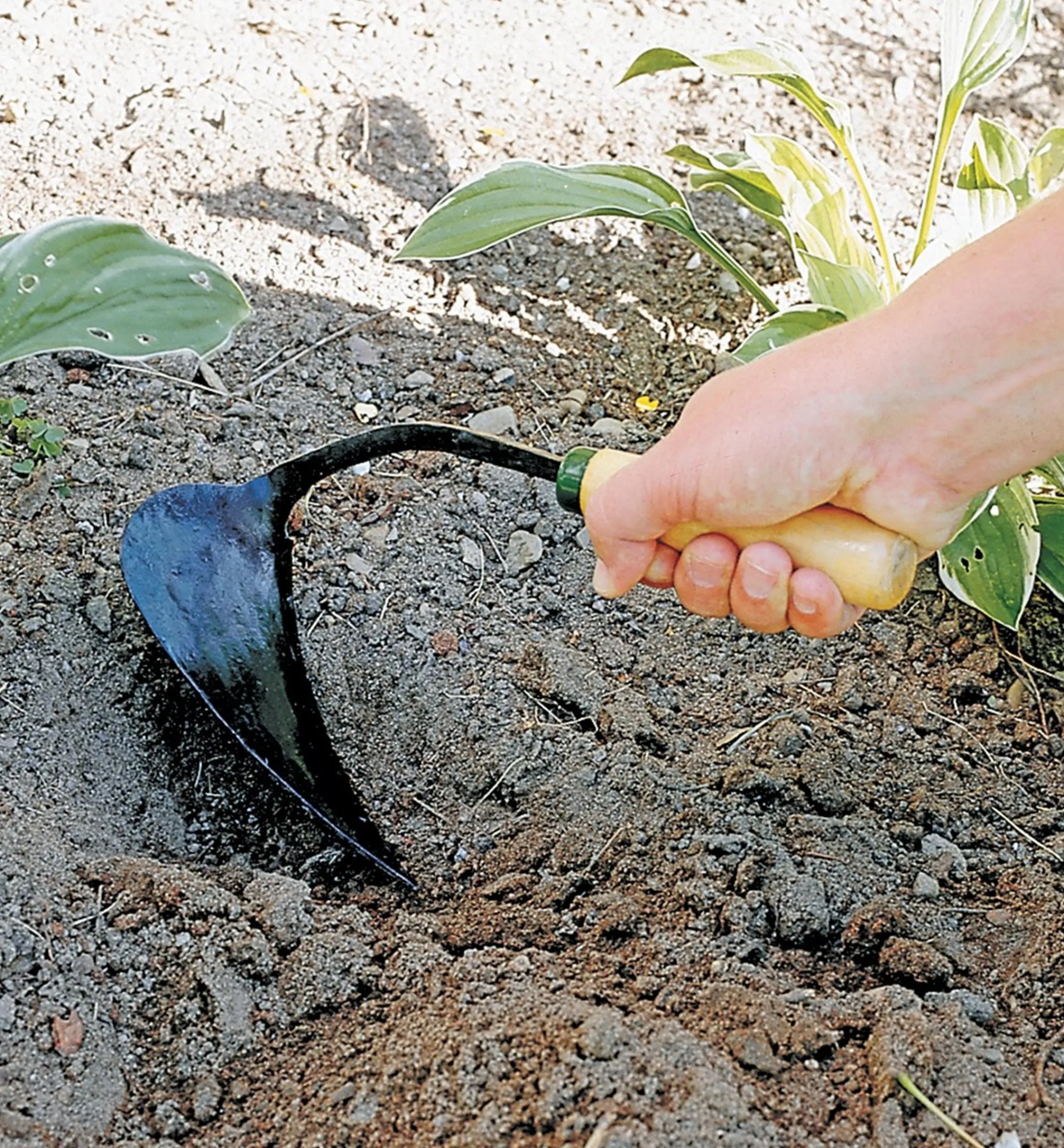 Lee Valley Weeding>Ho-Mi Diggers