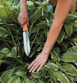 Lee Valley Garden Care><noscript><img width=