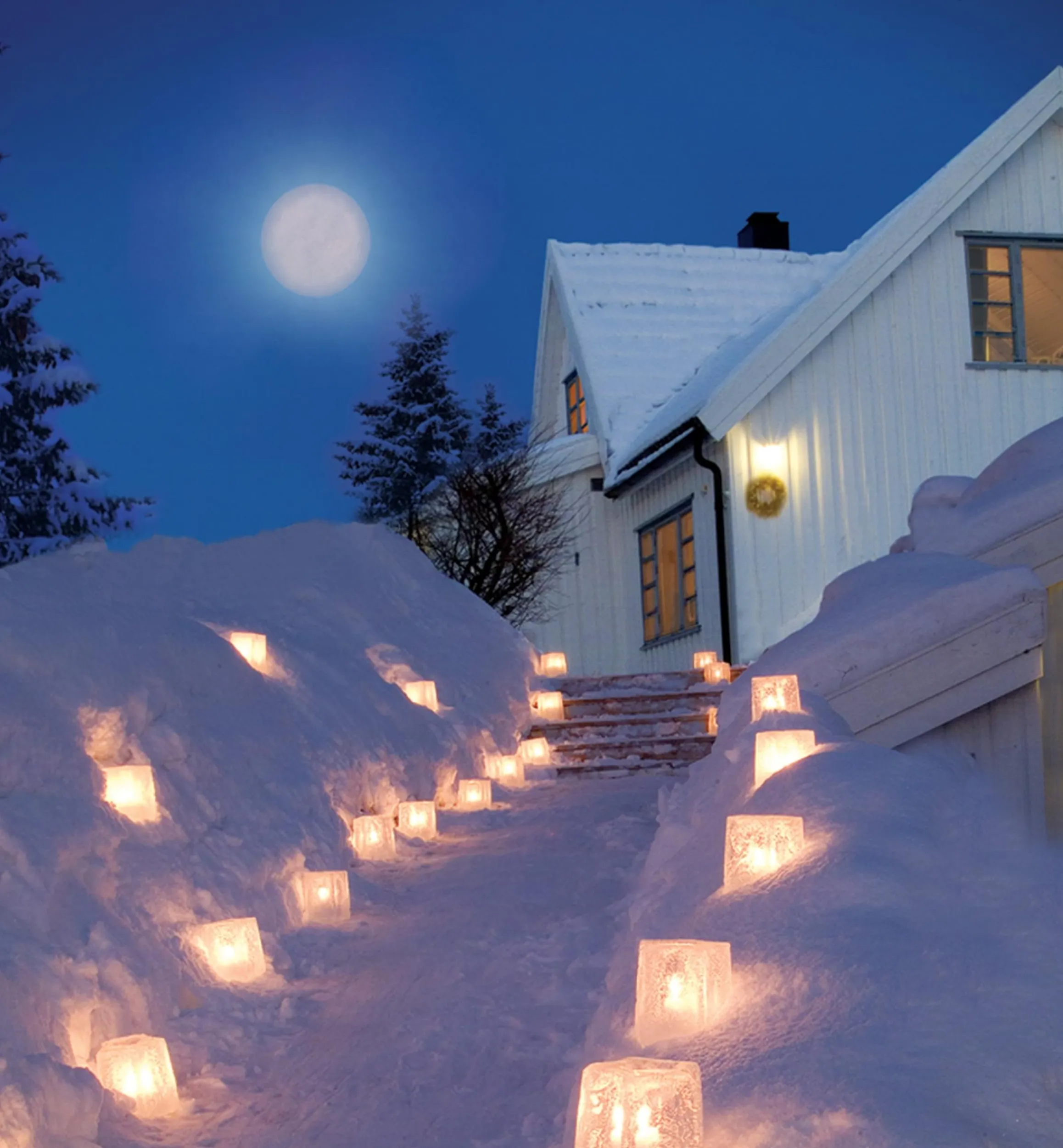 Lee Valley Décor>Ice Lantern Mold