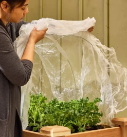 Lee Valley Plant Protection><noscript><img width=