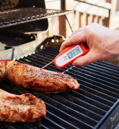 Lee Valley Thermometers><noscript><img width=