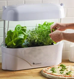 Lee Valley Grow Lights>LED Grow Light & Planter