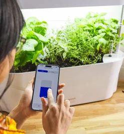 Lee Valley Grow Lights>LED Grow Light & Planter