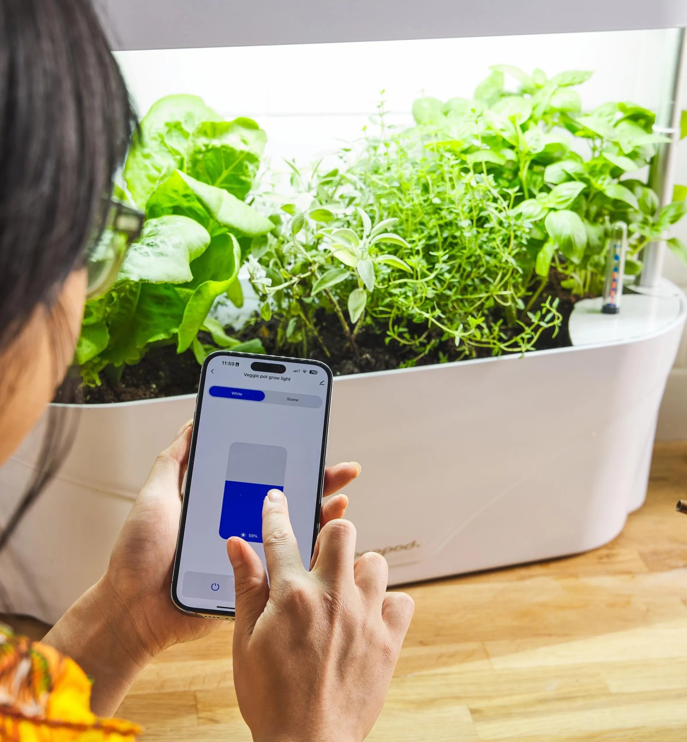 Lee Valley Grow Lights>LED Grow Light & Planter