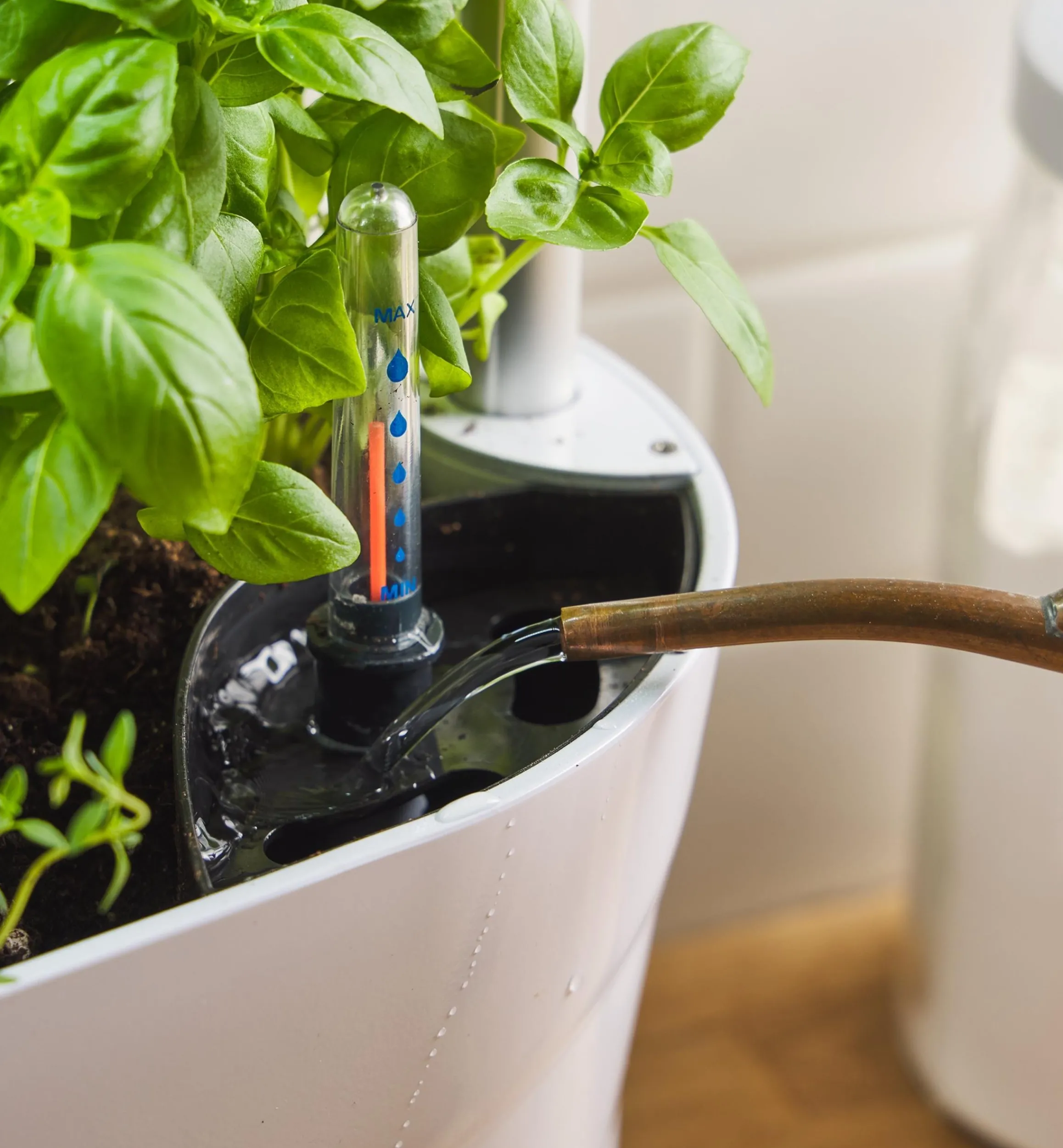 Lee Valley Grow Lights>LED Grow Light & Planter