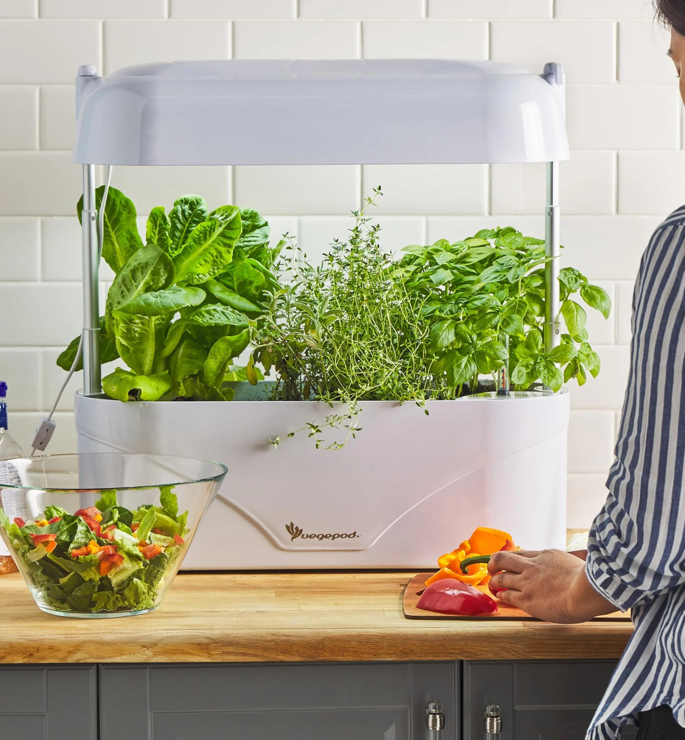 Lee Valley Grow Lights>LED Grow Light & Planter