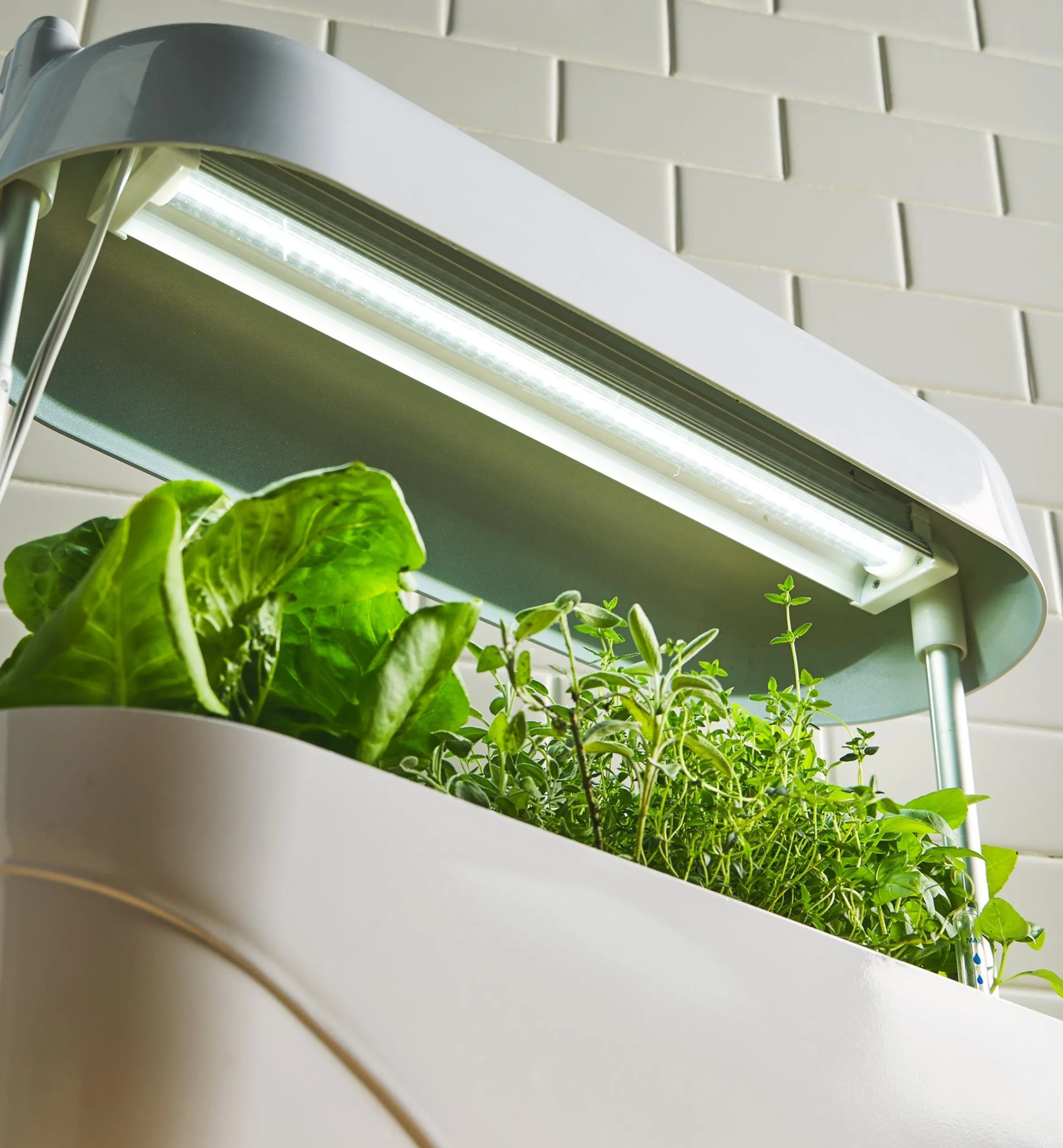 Lee Valley Grow Lights>LED Grow Light & Planter