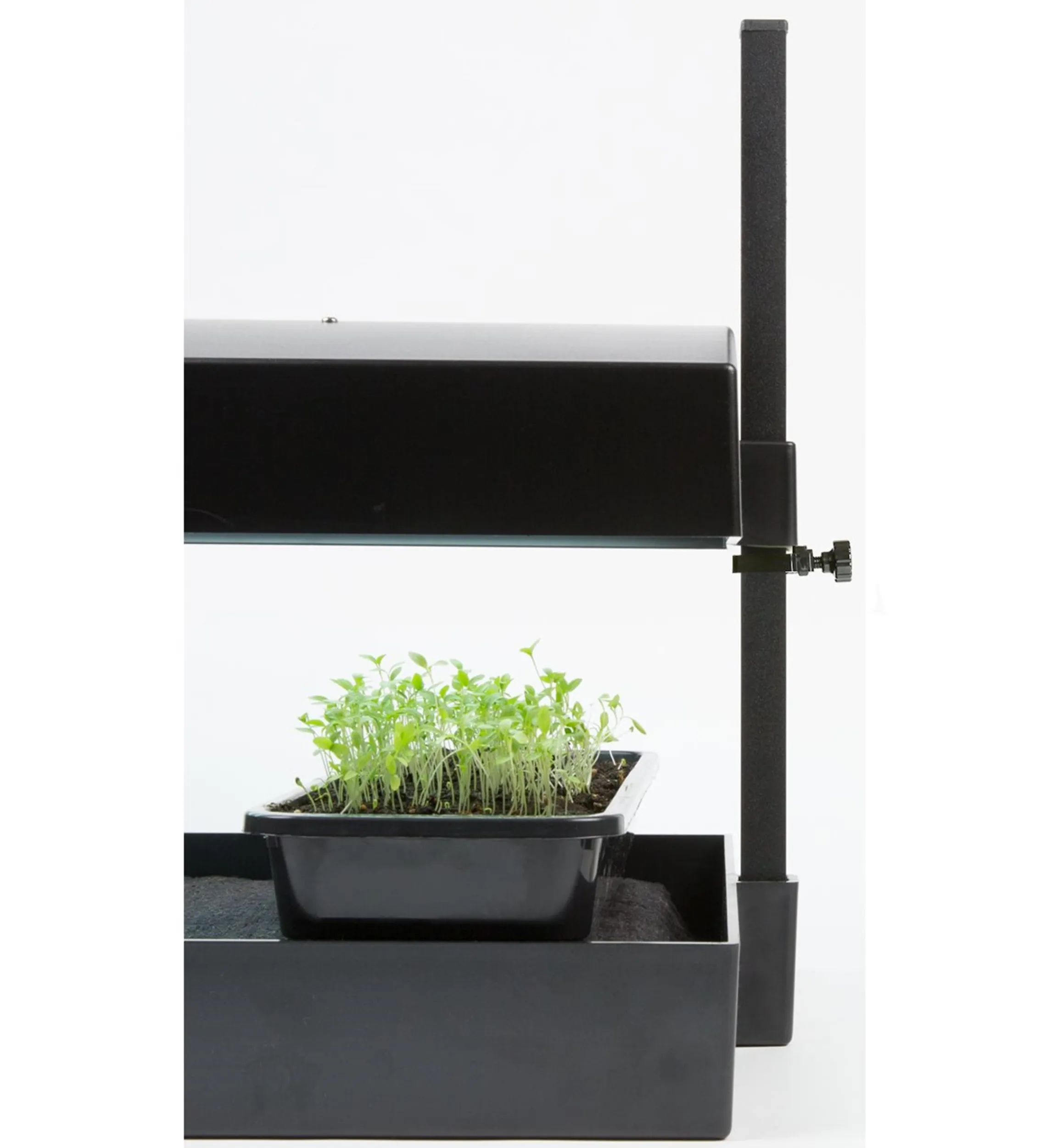 Lee Valley Grow Lights>LED Grow-Light Kits