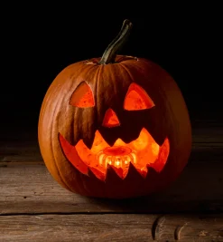 Lee Valley Lighting>LED Road Beacon/Work Light