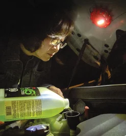 Lee Valley Lighting><noscript><img width=