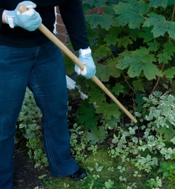 Lee Valley Weeding><noscript><img width=