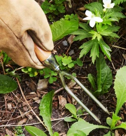 Lee Valley Weeding>Container Garden Jekyll Weeder