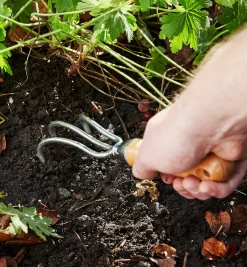 Lee Valley Weeding>Cultivators