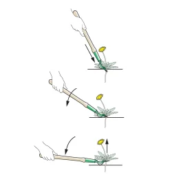 Lee Valley Weeding><noscript><img width=