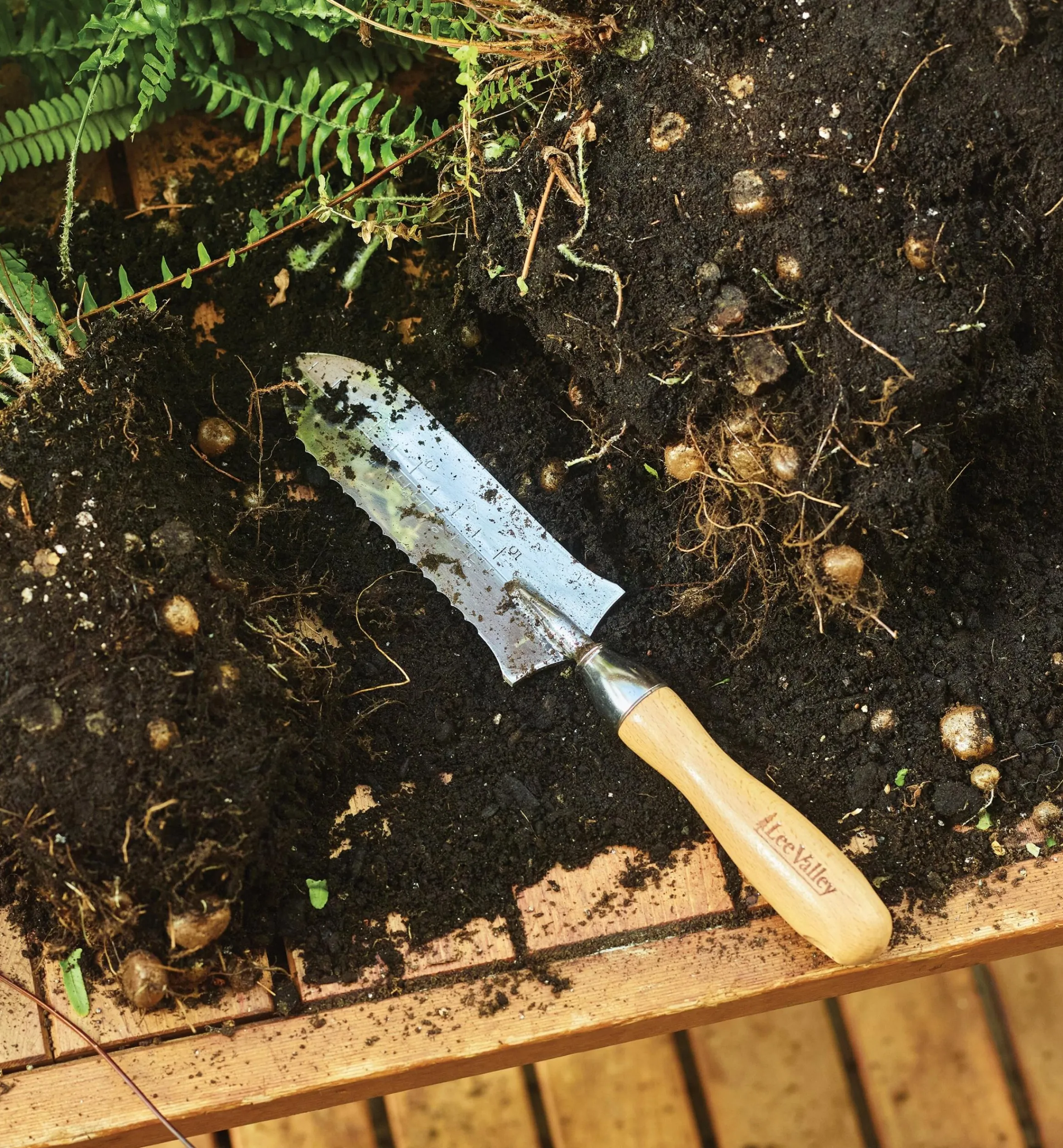 Lee Valley Weeding>Garden Knives