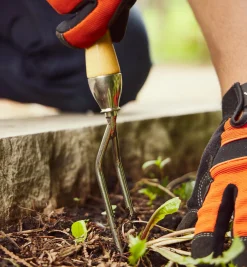 Lee Valley Weeding>Jekyll Weeder