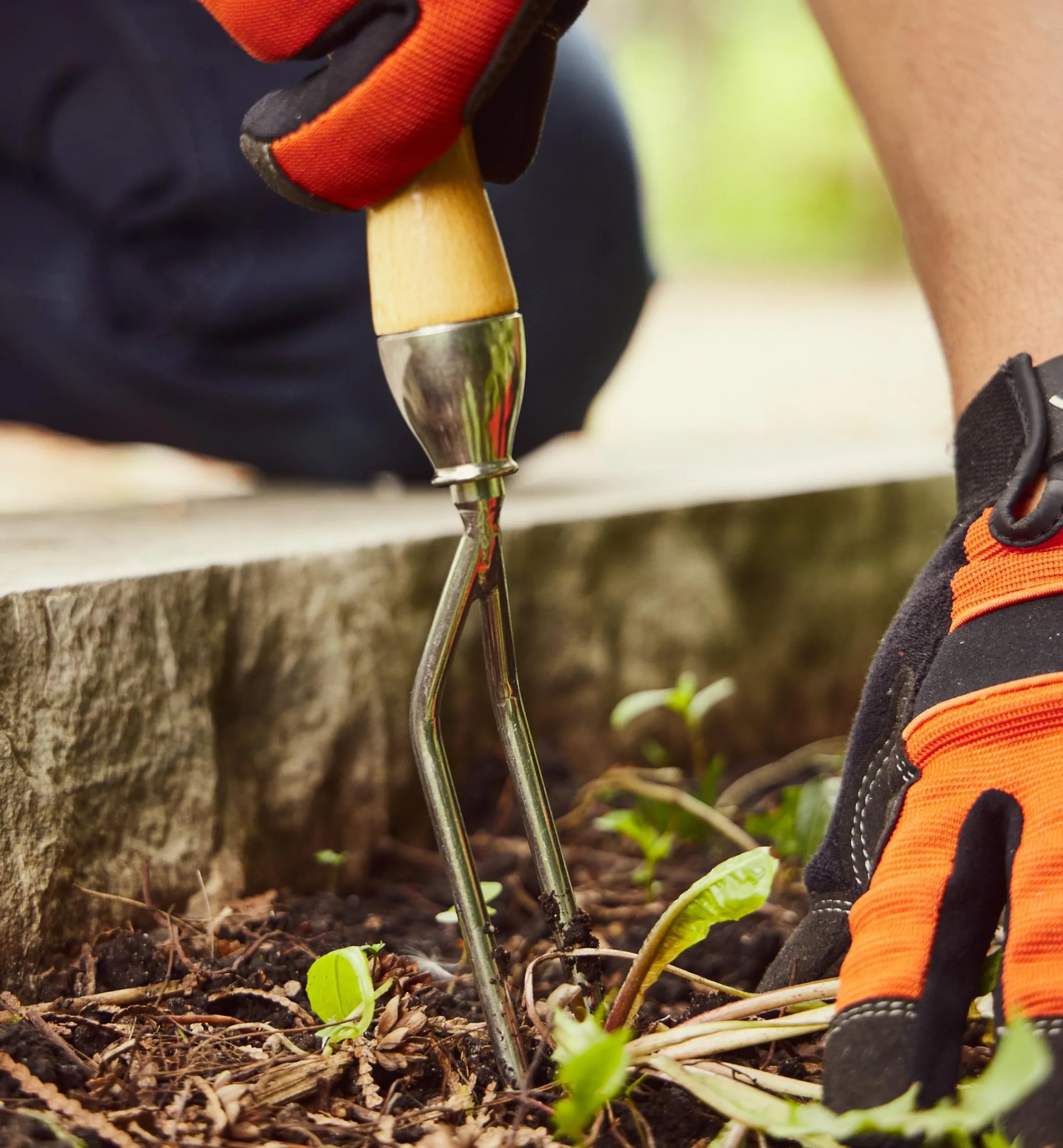 Lee Valley Weeding>Jekyll Weeder