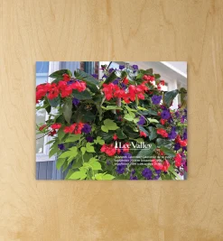 Lee Valley Office>16-Month Gardening Calendar