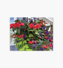 Lee Valley Office><noscript><img width=