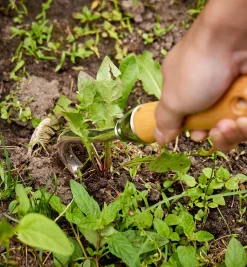 Lee Valley Weeding><noscript><img width=
