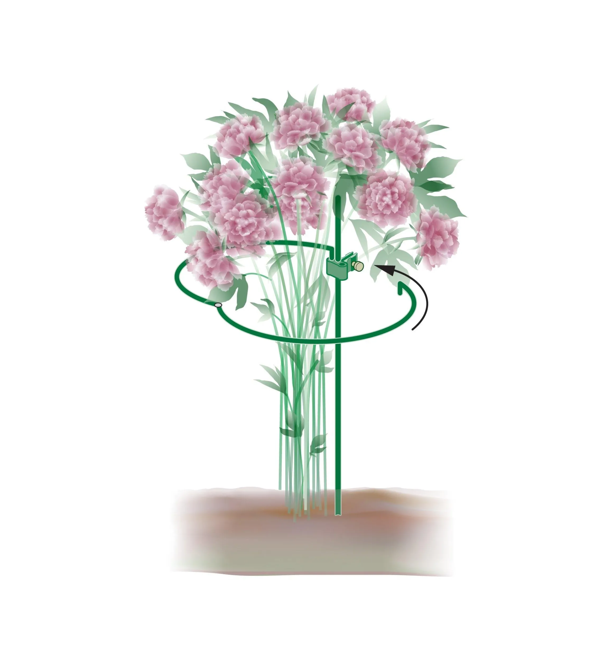 Lee Valley Stakes>Peony Support