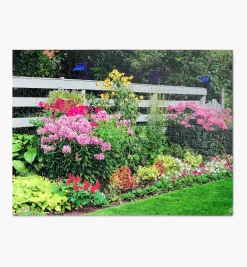 Lee Valley Toys & Games><noscript><img width=