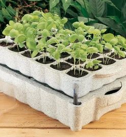 Lee Valley Seed Starting>Self-Watering Seed Starter