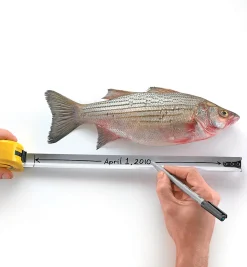 Lee Valley Marking & Measuring><noscript><img width=