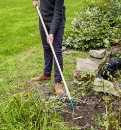 Lee Valley Weeding>Swoe