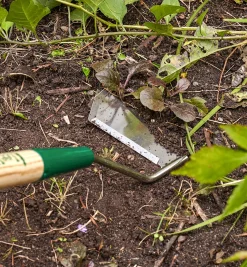 Lee Valley Weeding>Swoe