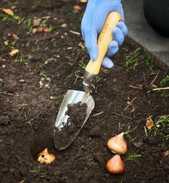 Lee Valley Trowels><noscript><img width=