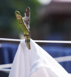 Lee Valley Laundry>Lifetime Clothespins