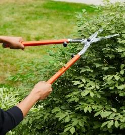 Lee Valley Garden Care>Long-Handled Shears