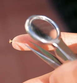 Lee Valley Personal Care>Magnifier Tweezers