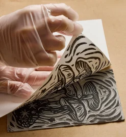 Lee Valley Supplies><noscript><img width=