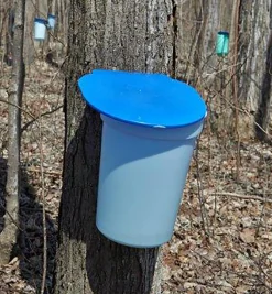 Lee Valley Harvesting>Maple Syrup Starter Kit