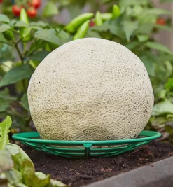 Lee Valley Garden Care>Melon/Squash Cradles