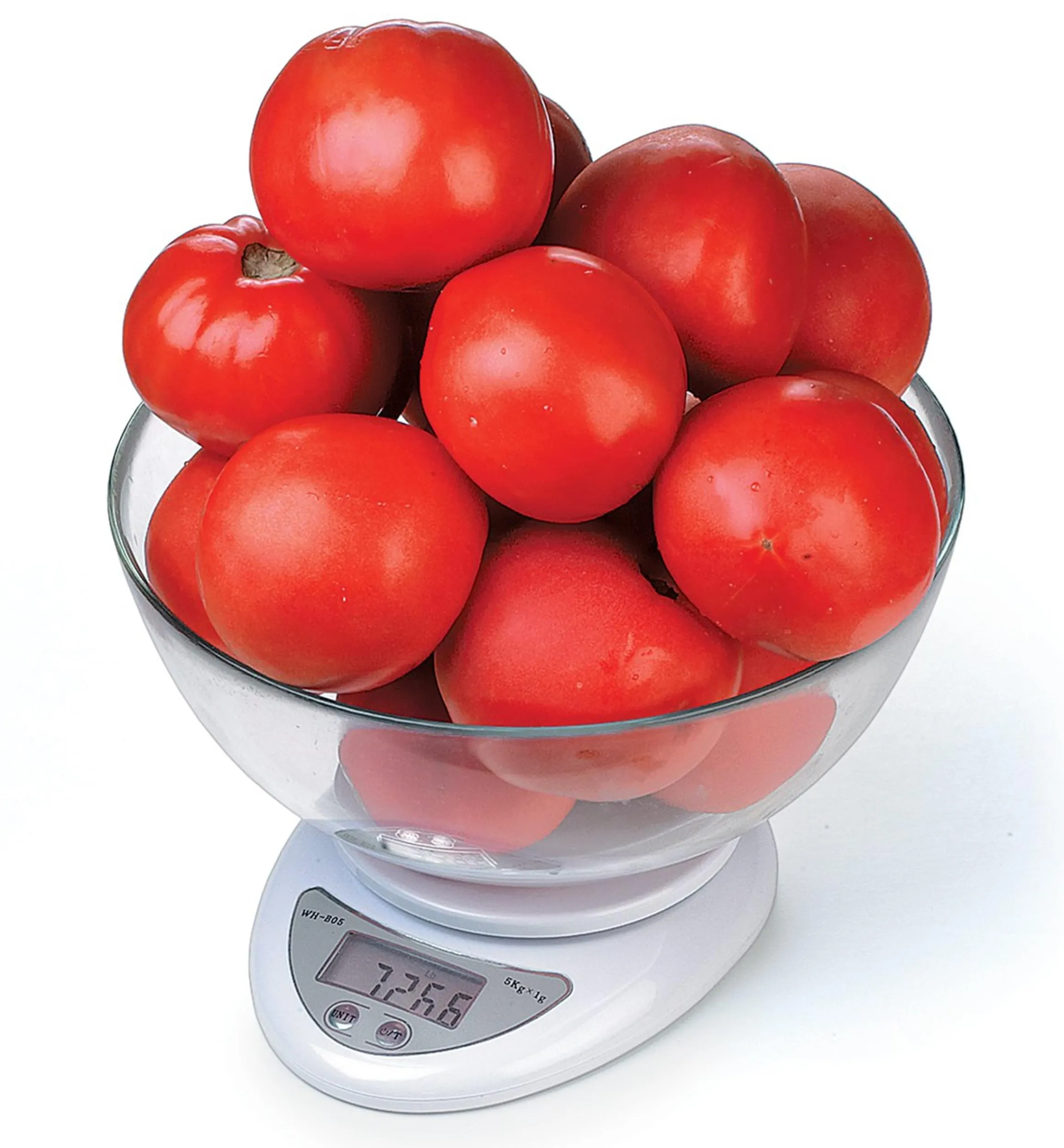 Lee Valley Measurement>Mini Digital Kitchen Scale