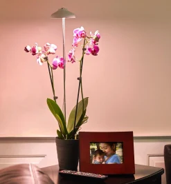 Lee Valley Grow Lights><noscript><img width=