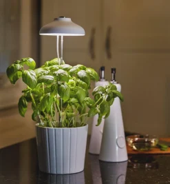 Lee Valley Grow Lights><noscript><img width=