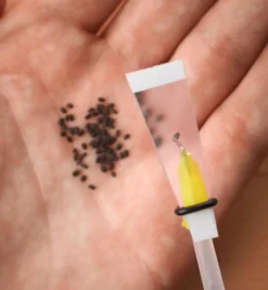 Lee Valley Seed Starting><noscript><img width=