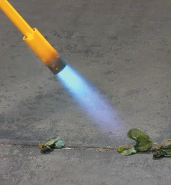 Lee Valley Weeding><noscript><img width=