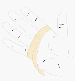 Lee Valley Gloves><noscript><img width=