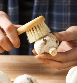 Lee Valley Kitchen Tools>Mushroom Brush