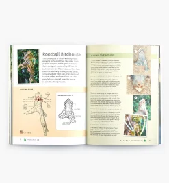 Lee Valley Birding><noscript><img width=