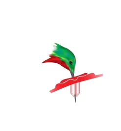 Lee Valley Birding><noscript><img width=