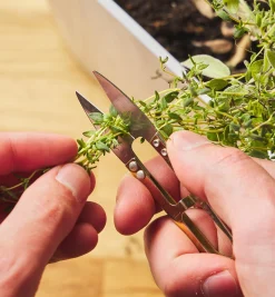 Lee Valley Personal Accessories>One Dozen Spring Shears